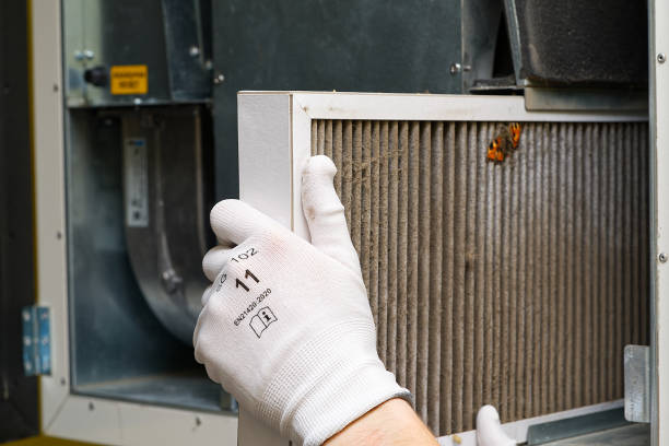 Best Local Air Duct Cleaning Services  in Seymour, WI